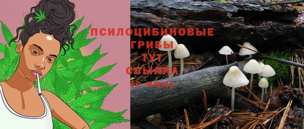 скорость Абаза