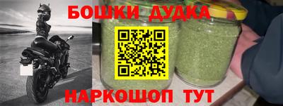 индика Комсомольск-на-Амуре