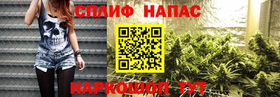 шишки Конаково