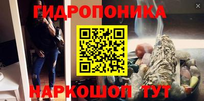 шишки Конаково