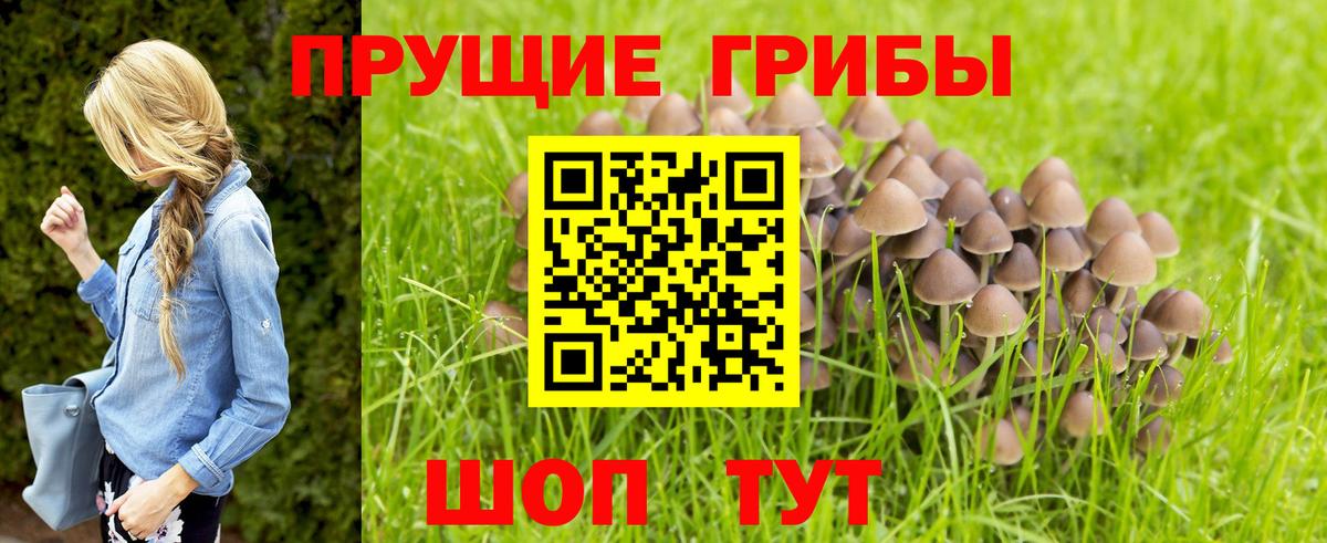 Галлюциногенные грибы Psilocybe  Вход с VPN  Псилоцибиновые грибы Psilocybine cubensis  Лесозаводск 